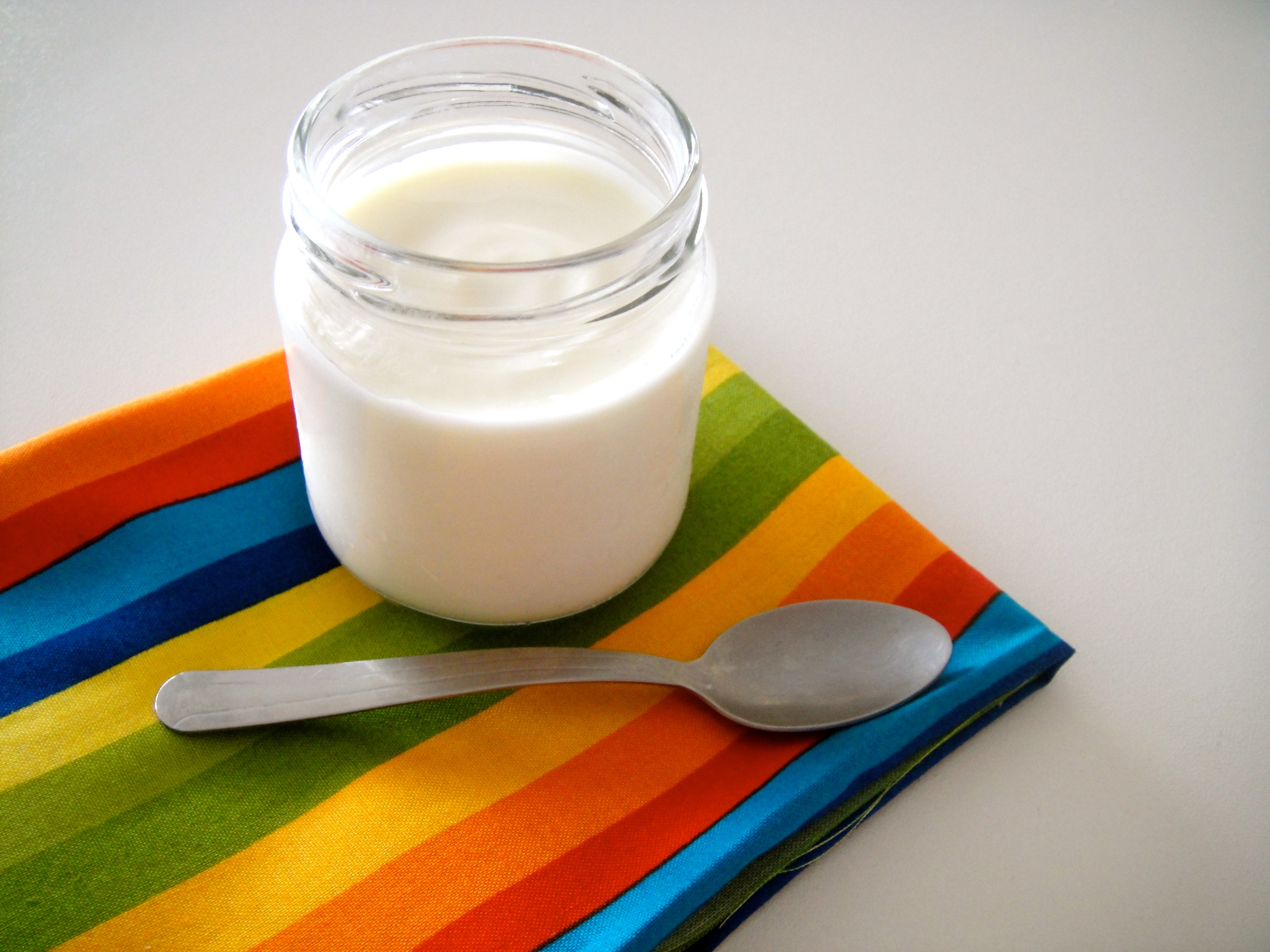 Como Fazer Iogurte Caseiro Sem Lactose