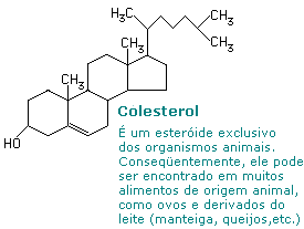 Fórmula Molecular Colesterol